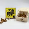 Leo zodiac sign cone-shaped incense